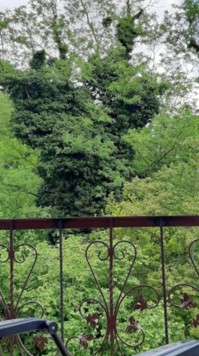 House At The Forest / Სახლი Ტყის Პირას Gordi Exterior photo